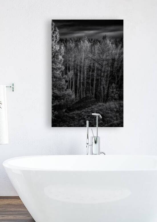 Mueller Aspen Series: Aspen Symphony by Dream World Images