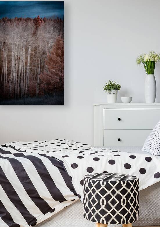 Mueller Aspen Series: Enchanted Woods by Dream World Images