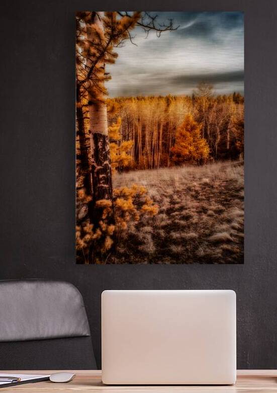 Mueller Aspen Series: Sunlit Serenity by Dream World Images