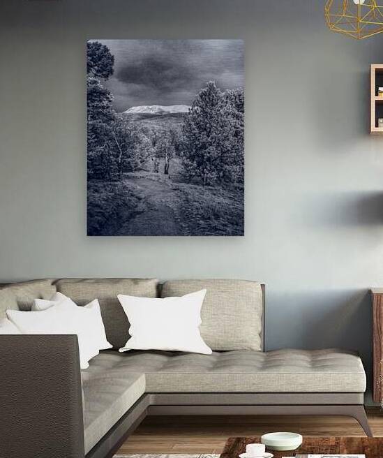 Mueller Aspen Series: Mountain Trail Tranquility by Dream World Images