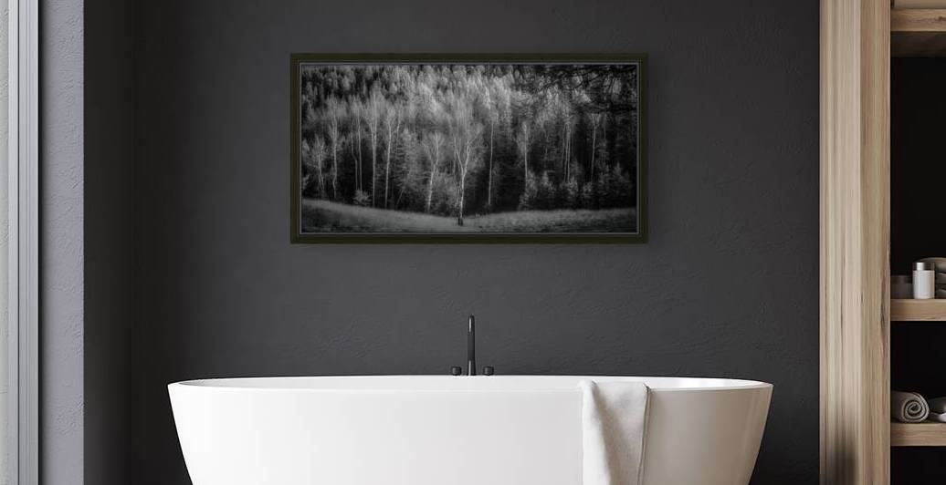 Mueller Aspen Series: Lighted Aspen by Dream World Images