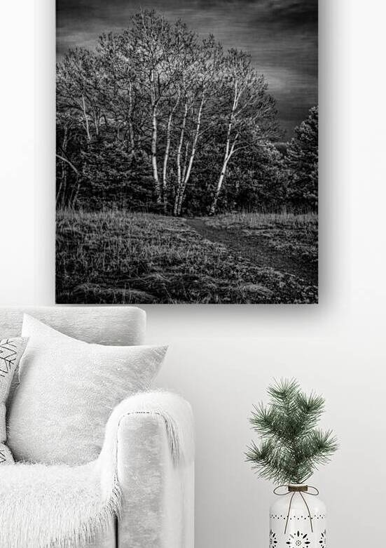 Mueller Aspen Series: Aspen Moon by Dream World Images