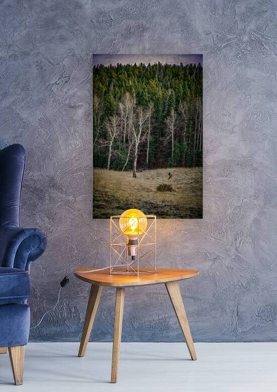 Mueller Aspen Series: Twilight Whispers by Dream World Images