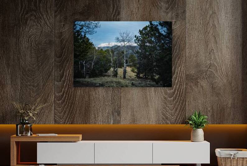 Mueller Aspen Series: Aspen Mountain by Dream World Images