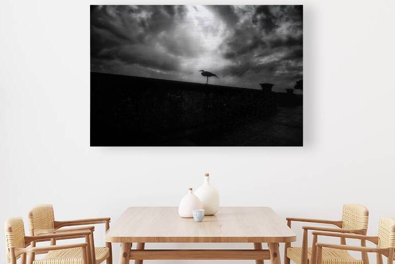 Rainy Day Stroll: Capturing Serenity with a Silhouetted Bird in Saint Marys Georgia by Dream World Images