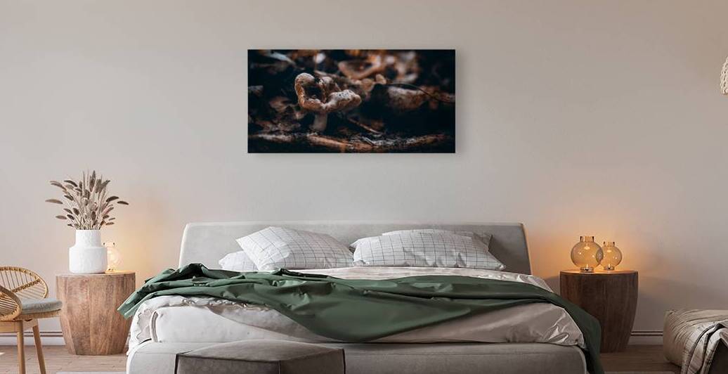 Mystical Fungi: Quiet Contemplation The Sullen Fungus by Dream World Images