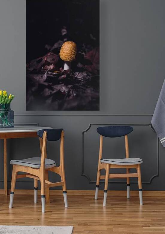 Mystical Fungi: Helmet among the Dead Leaves by Dream World Images