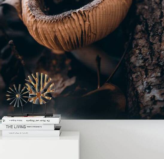 Mystical Fungi: Cup of Wonder ShrumCup Mushroom by Dream World Images