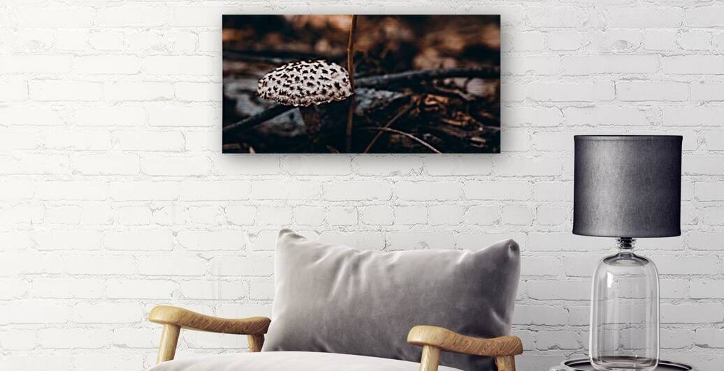 Mystical Fungi: Speckled Shroom by Dream World Images