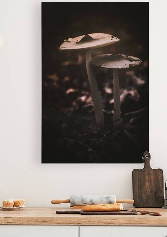 Mystical Fungi: Big Brother Shroom in the Woodland Realm by Dream World Images