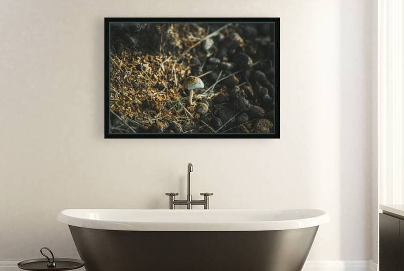 Montana Ranch Shroom: Sunlit Stallion Shroom by Dream World Images