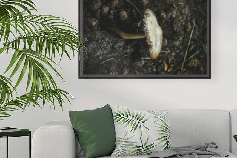 Montana Ranch Shroom: Highland Horseshoe Fungus by Dream World Images