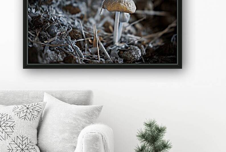 Montana Ranch Shroom: Whispering Wind Toadstool by Dream World Images