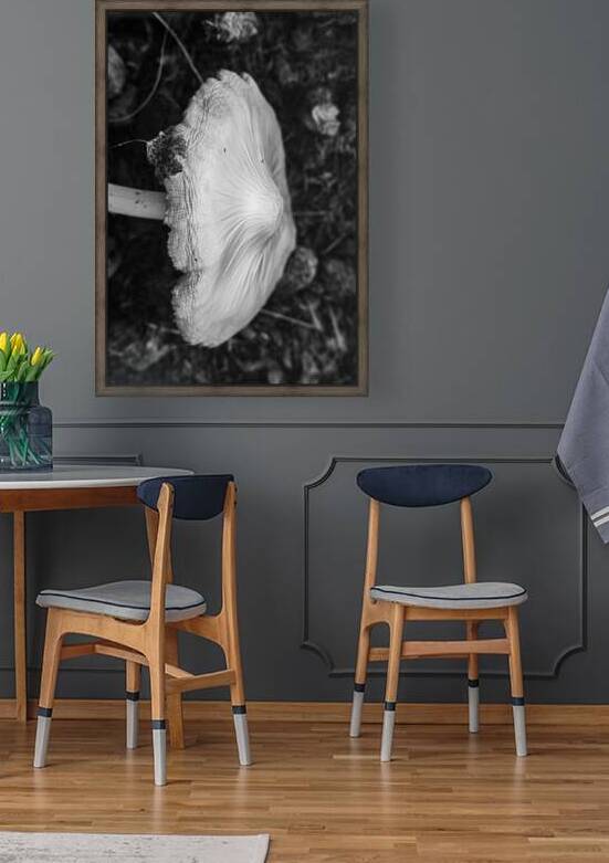 Montana Ranch Shroom: Valley Vista Toadstool by Dream World Images