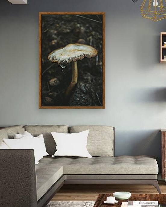 Montana Ranch Shroom: Saddlewood Mushroom by Dream World Images