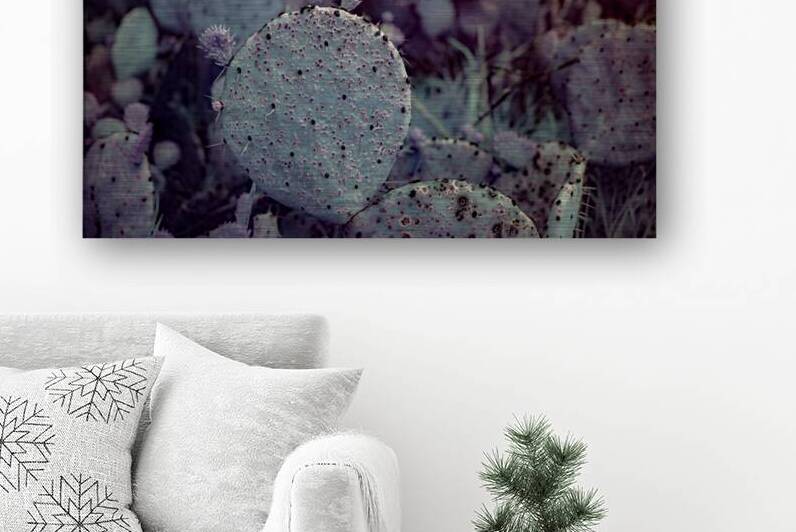 Desert Shadows: Purple Infrared Texas Cactus by Dream World Images