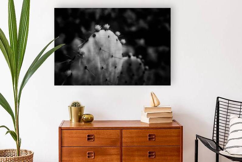 Ink and Thorn: Capturing the Essence of Texas Cacti by Dream World Images