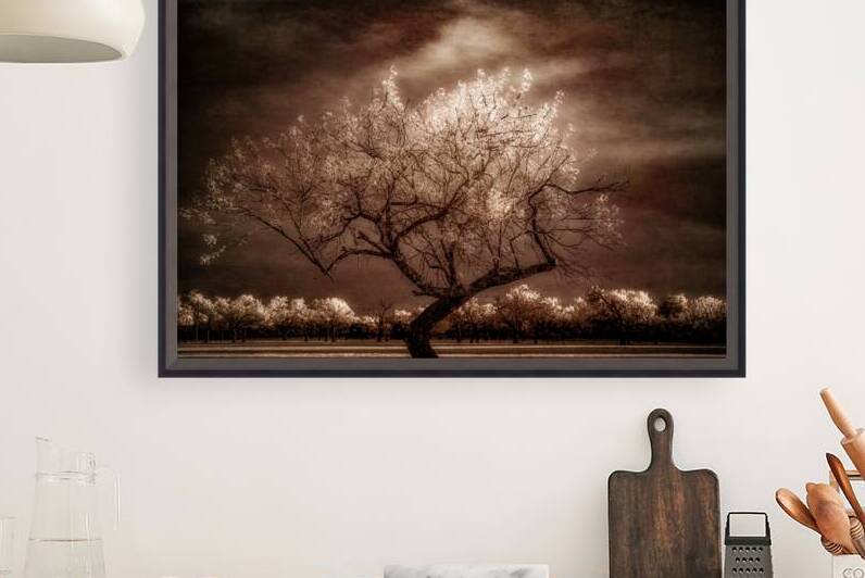  Twilight Tranquility: Capturing Natures Crown Light Splendor by Dream World Images