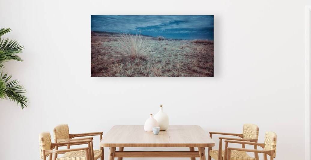 Lone Star Grass in Shamrock by Dream World Images