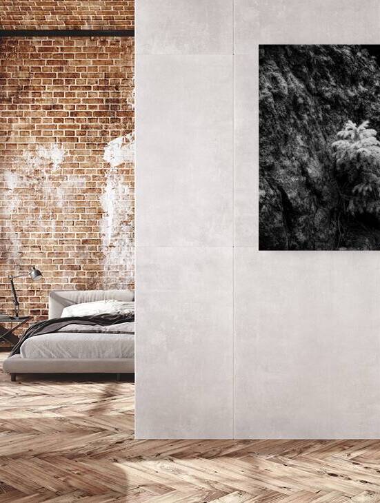 Exploring Sylvan Lake: Small Pine on a Rock by Dream World Images