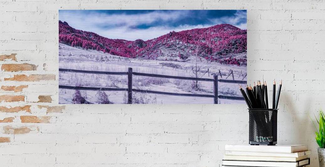 Chautauqua Chronicles: Purple Majesty by Dream World Images