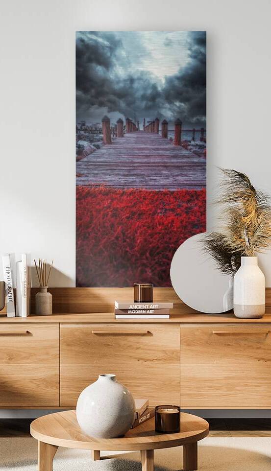 Storms Dance: A Memorable Infrared Moment on Brooms Island Maryland by Dream World Images